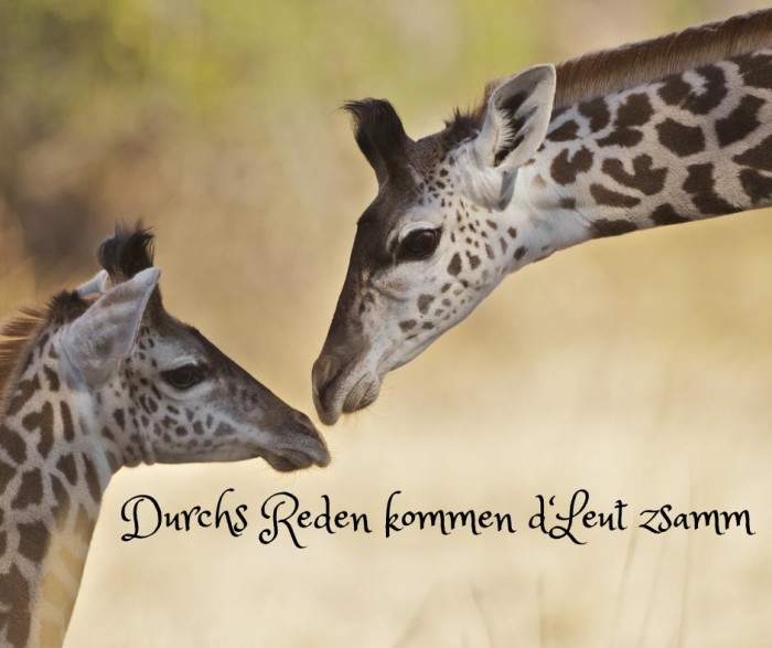 Giraffe durchs reden...